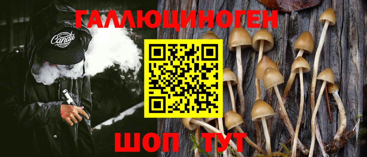 Красногорск  Галлюциногенные грибы MAGIC MUSHROOMS  Вход с VPN 